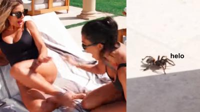 Kourtney Kardashian Has A Tarantula Infestation & We’re Terrified For Her