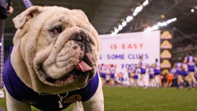 RIP Sid, The Western Bulldogs’ Beloved Mascot & The AFL’s One True Good Boy