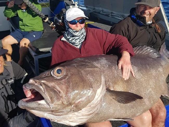 Monster Fish Caught UK Woman Holidaying In Perth Is Literally The