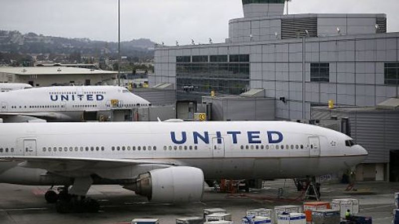 United Airlines Just Mistakenly Flew A Dog To Japan Instead of Kansas