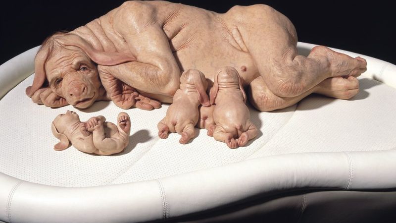 Everything You Need To Know ‘Bout Patricia Piccinini’s Wacky Good Exhibition