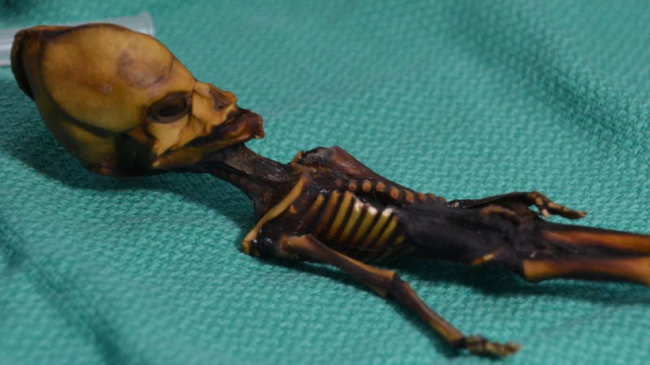 Scientists Say This ‘Alien’ Is Actually A 40 Y.O. Fetus But Of Course They Would