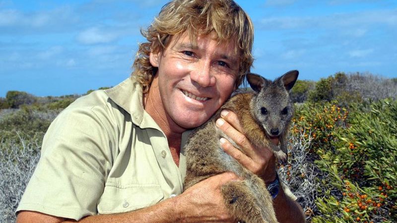 Steve Irwin, The Legend, Finally Receives A Star On Hollywood’s Walk Of Fame