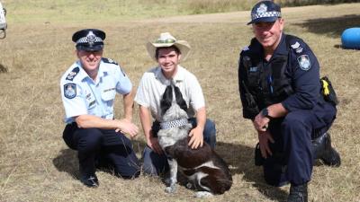 Queensland Police Punish / Reward Hero Dog By Making Him An Honorary Cop