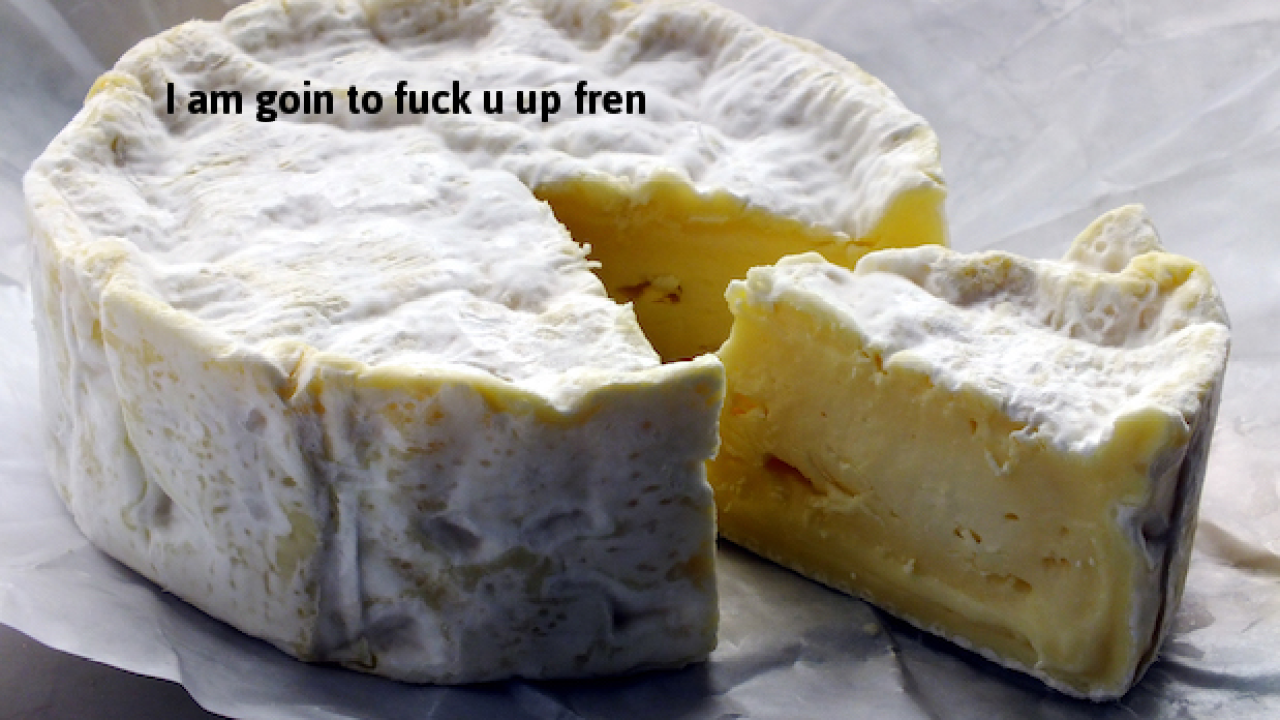 Old People Are Reportedly Getting High By Wrapping Their MDMA In Brie Cheese