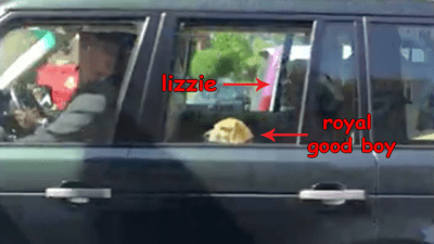 To Hell With Harry & Meghan, We’re Now Stanning Queen Liz & Guy The Beagle