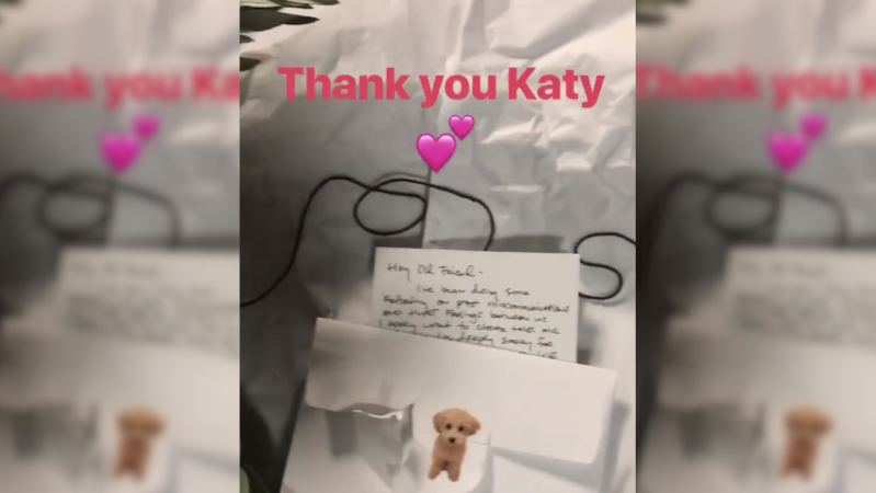 Katy Perry Admits Defeat To Taylor Swift By Sending A Literal Olive Branch