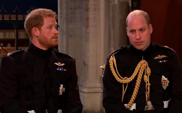 Prince Harry Reportedly Lost It At Prince William For Being A Dick To Meghan