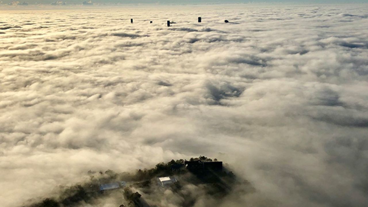 Brisbane Disappeared For A Bit This Morning Under Intensely Thick Fog