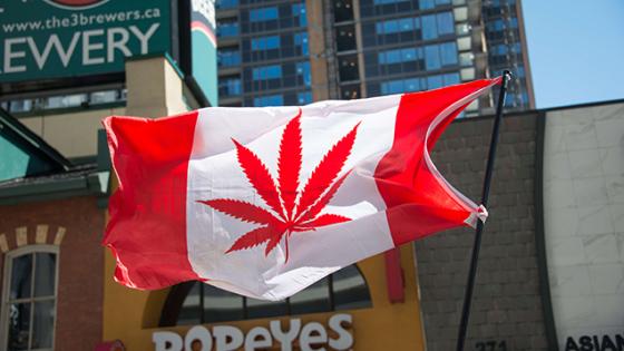 Canada Legalises Weed, Which Is Huge For Your Mate Who Works At Whistler