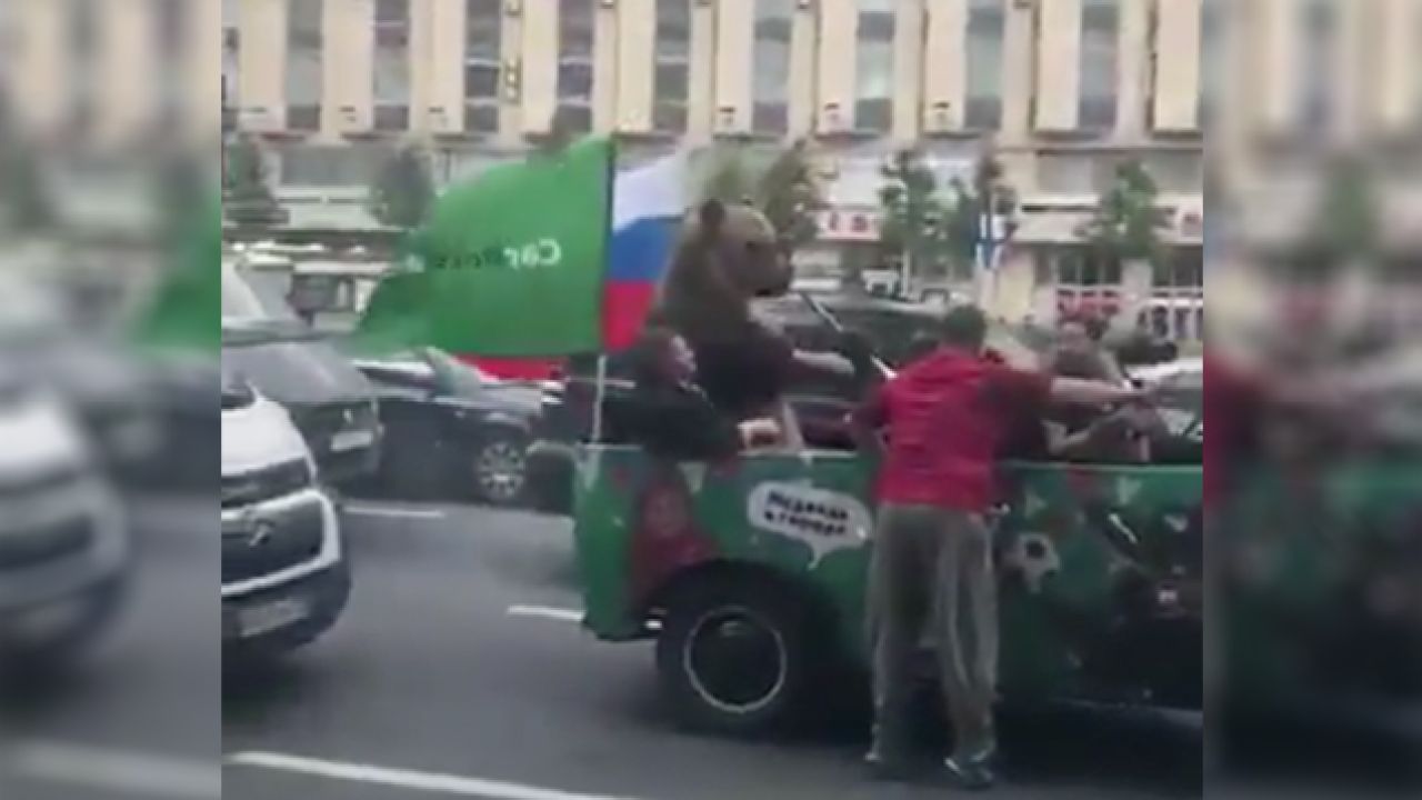 Russian Fans Are Celebrating The World Cup By Making A Bear Play A Vuvuzela
