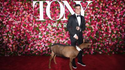 Sparky The Goat Walked The Tonys Red Carpet & The People, They Loved It