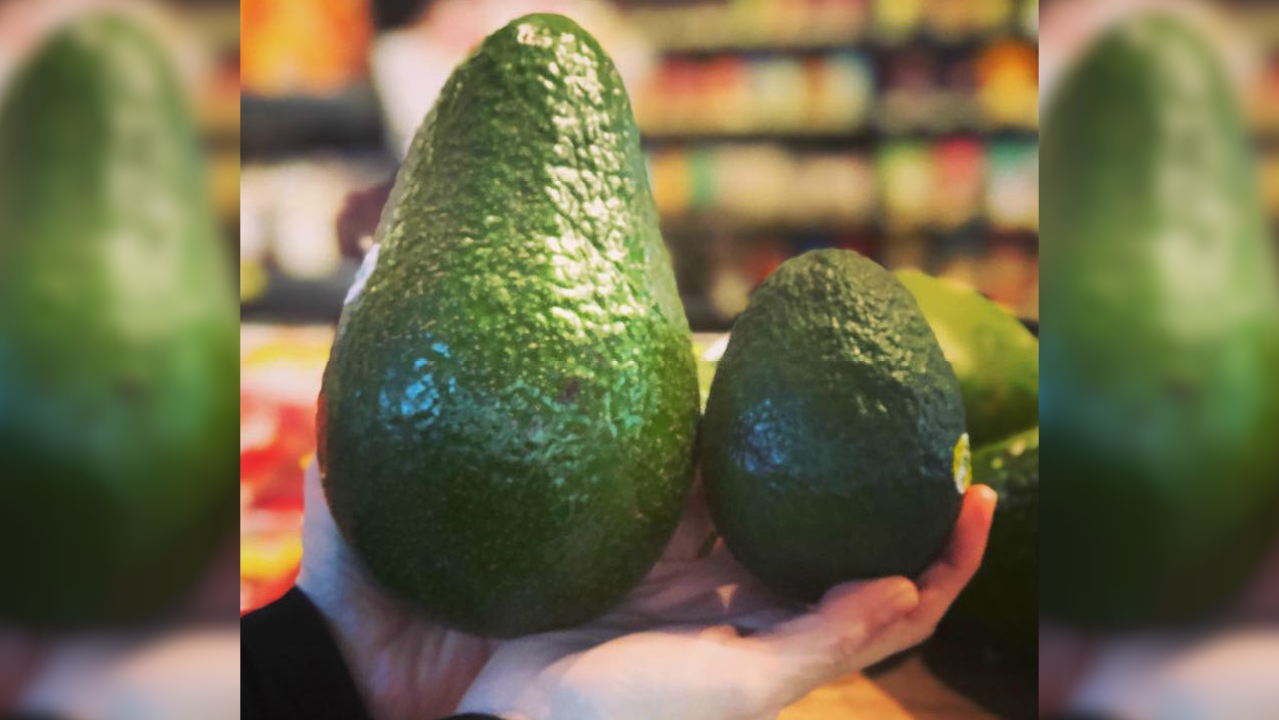 These Unholy Oversized Avocados Are In Season To Wreak Havoc On Brunch