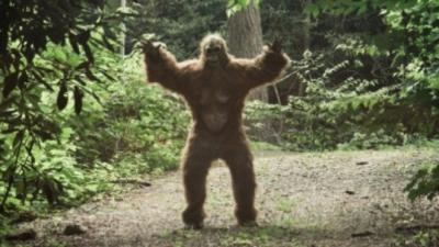 U.S. Political Candidate Called Out For, Uh, Posting Bigfoot Erotica On Insta
