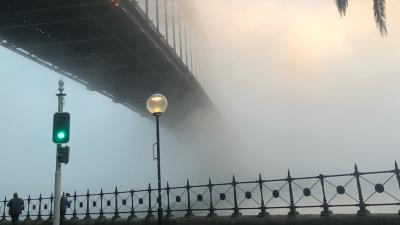 Sydney Harbour Has Been Swallowed By Fog, Impacting Ferries And Flights