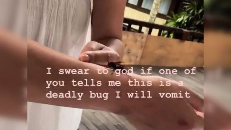 Anyway, Here’s Chrissy Teigen Playing With A Bloody Tarantula Hawk Wasp