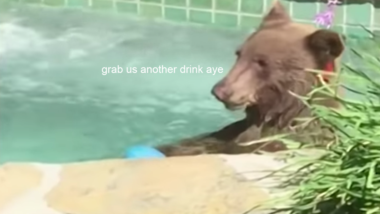 Pls Look At This Precious Bear Lounging In A Jacuzzi & Whisper ‘Same’
