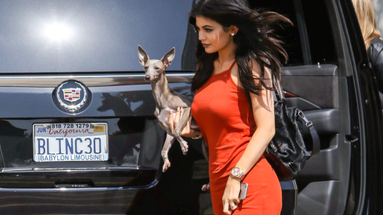 Kylie Jenner Shows Off Her Pups’ New Doghouse, Complete With Air-Con