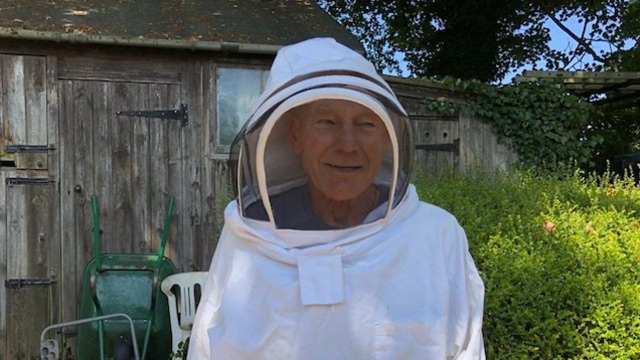 Please Congratulate Sir Patrick Stewart On Fulfilling His Dream Of Owning Bees
