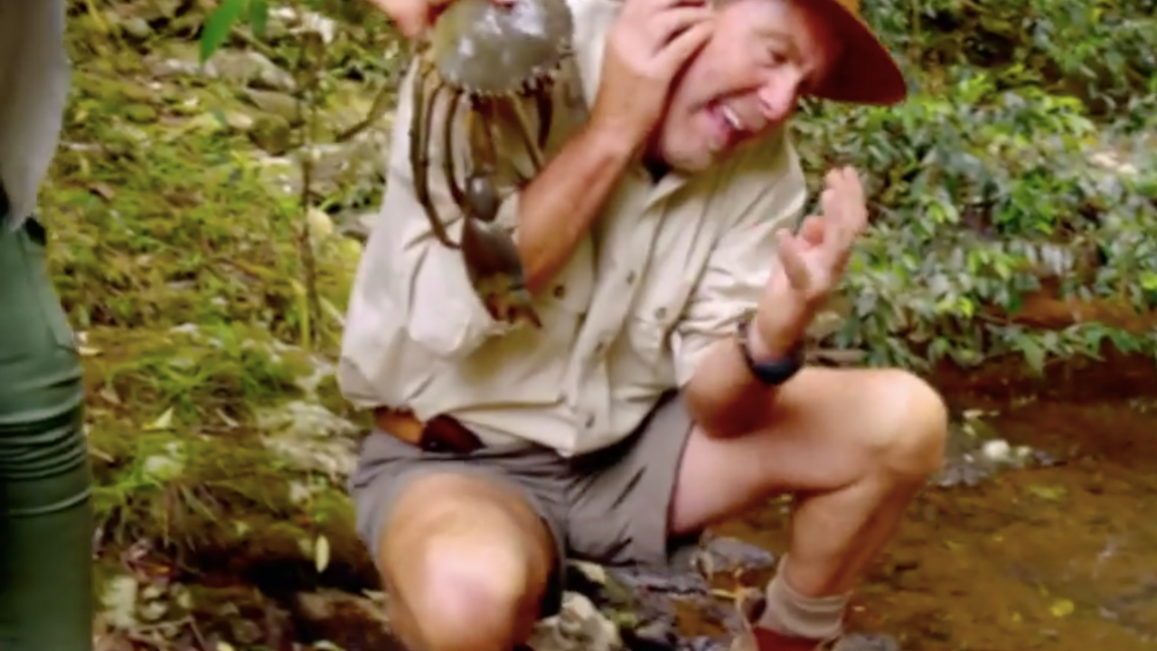 Russell Coight Gets Owned By A Crab In Promo For New ‘All Aussie Adventures’