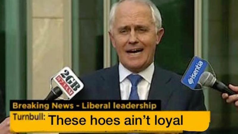 Take A Break From Politics-Related Stress With These Spicy #LibSpill Memes