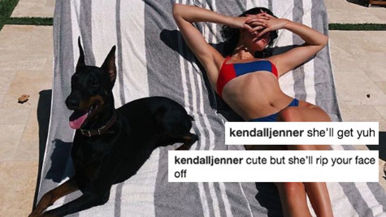 Kendall Jenner’s Doberman Pinscher Allegedly Bit A Young Girl At A Restaurant
