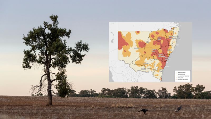 Well Fuck, 100% Of New South Wales Is Now Suffering From Drought