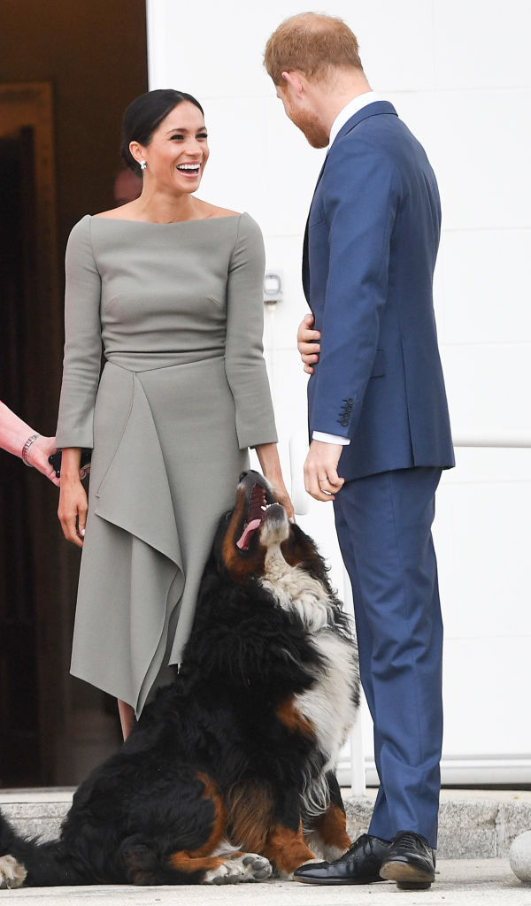 Here’s Everything We Know About Meghan And Harry’s New Pet Dog