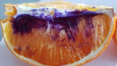 Scientists Have Figured Out Why A Brisbane Orange Went Purple That One Time