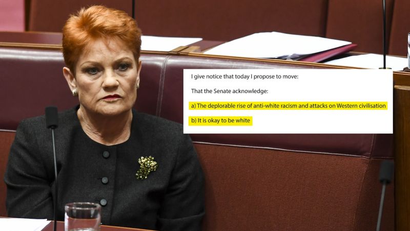 Pauline Hanson, Oppressed Battler, Wants Parliament To Say Being White Is OK