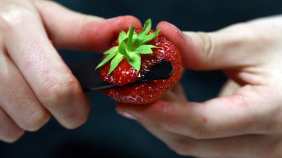 WA Joins QLD In Offering $100k Reward For Info Regarding Strawberry Sabotage