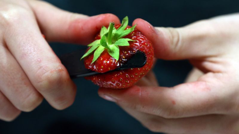 WA Joins QLD In Offering $100k Reward For Info Regarding Strawberry Sabotage