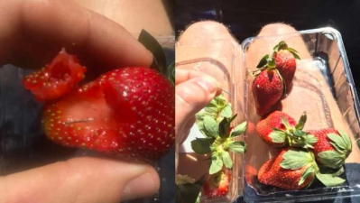 NSW Police Make Arrest In Connection To Strawberry Needles