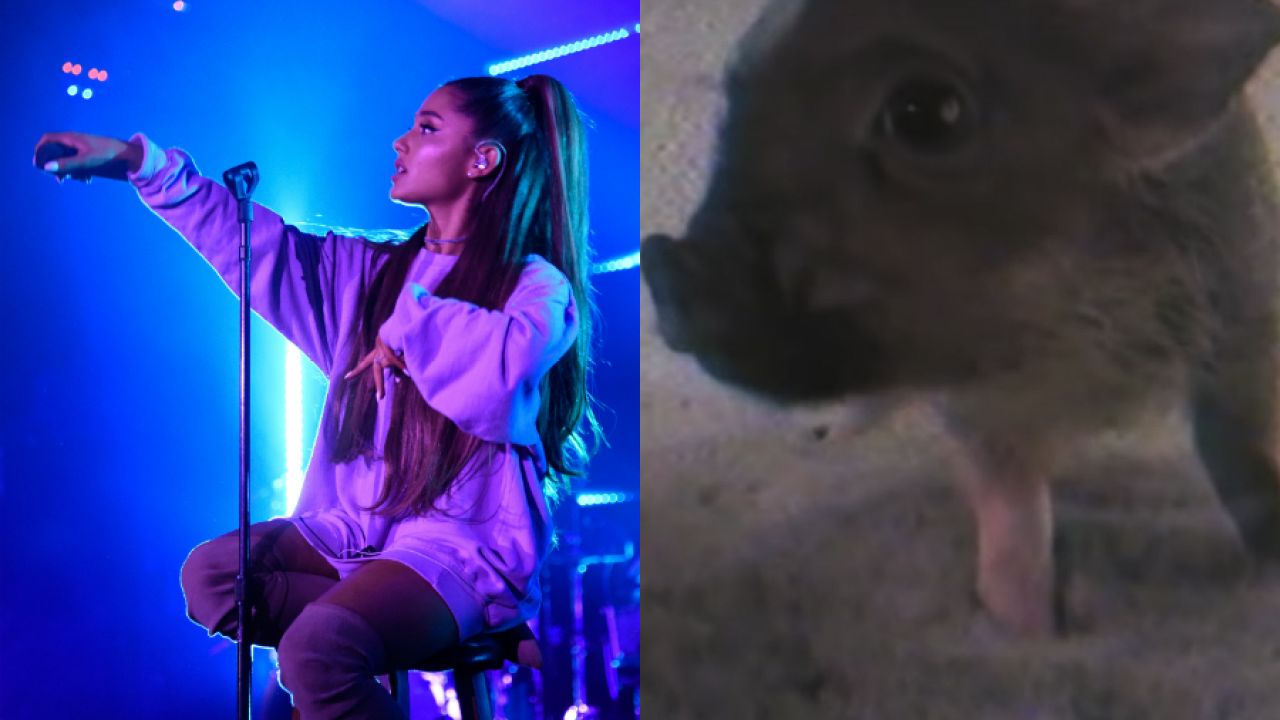 Ariana Grande’s Wholesome New Visuals For ‘Breathin’ Feature Her Bébé Pig