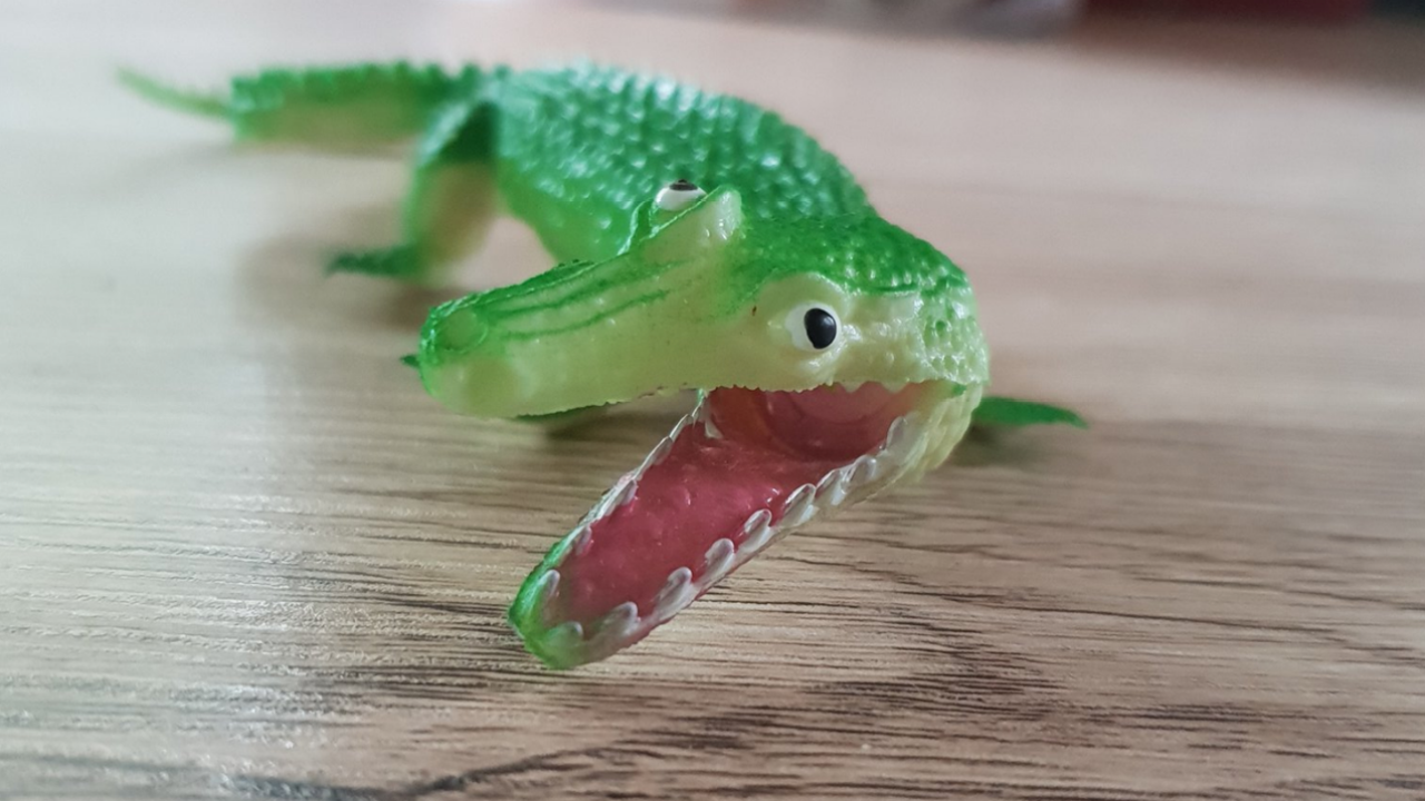 Please Look At This Normal Crocodile Toy, Which Is Having A Normal Time