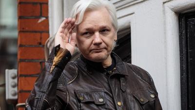 Julian Assange Is Now Suing Ecuador For Making Him Clean Up His Cat’s Turds
