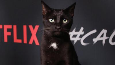 Salem From The ‘Sabrina’ Reboot Had A Chilling Adventure On The Red Carpet