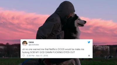 Netflix’s New Dogumentary Series ‘Dogs’ Is Making People Cry Uncontrollably
