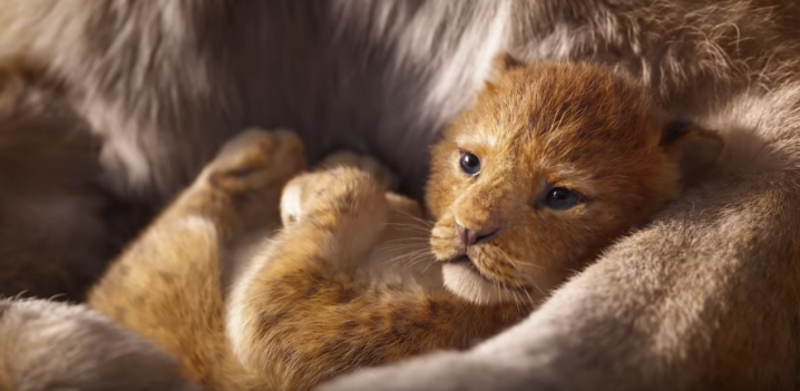 WATCH: The First Live-Action ‘Lion King’ Trailer Is Here & It Moves Us All