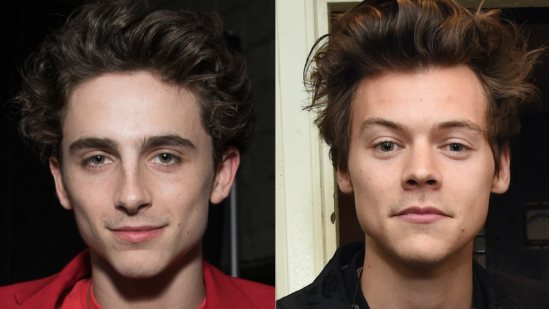 Harry Styles Interviewed Timothée Chalamet And Our Hearts Can’t Handle It