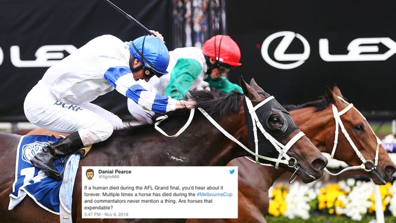 Aussies Aren’t Holding Back After News Of Melbourne Cup Horse Death