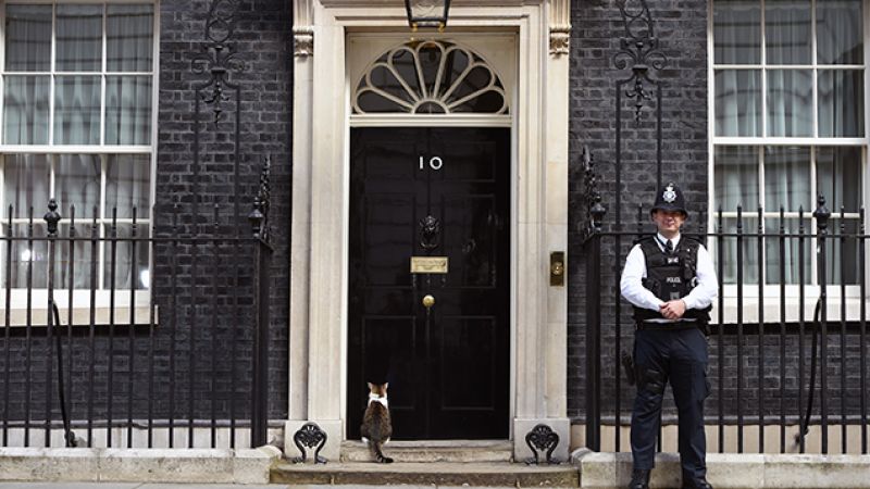 The British PM’s Cat Can Command Cops At Will & There’s Footage Proving It