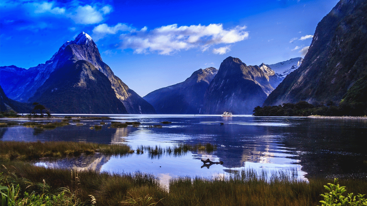 Your Ultimate New Zealand Travel Guide