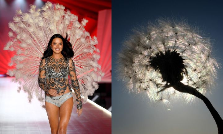 The Victoria’s Secret Show Reminded Us Of All Sorts Of Weird-Ass Shit