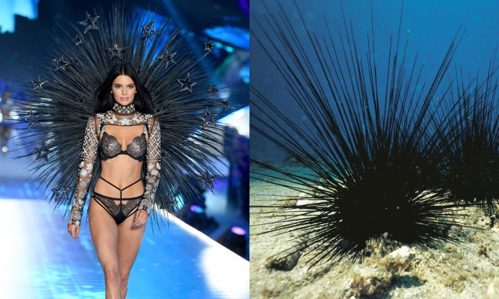 The Victoria’s Secret Show Reminded Us Of All Sorts Of Weird-Ass Shit