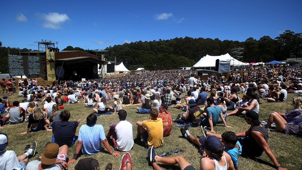 Falls Festival Issues Warning Of "Extremely Dangerous Orange Pill"