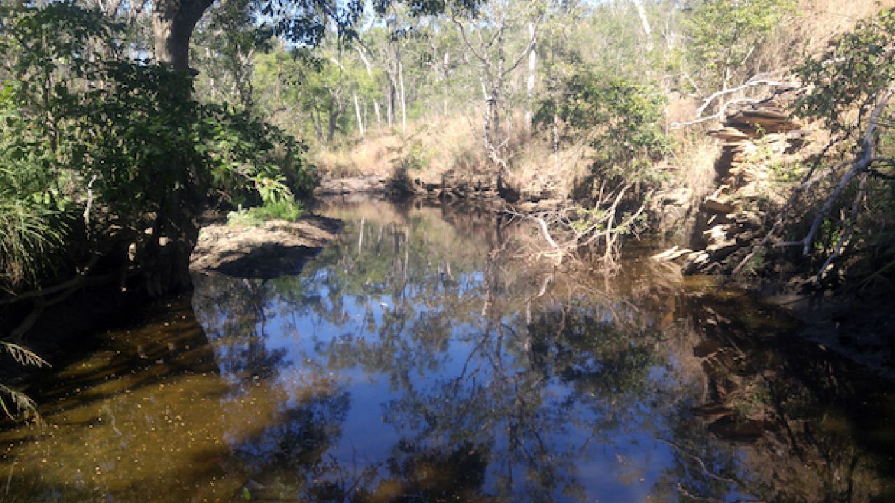 What Is Responsible For The Frankly Demonic Wailing At This QLD Waterhole?