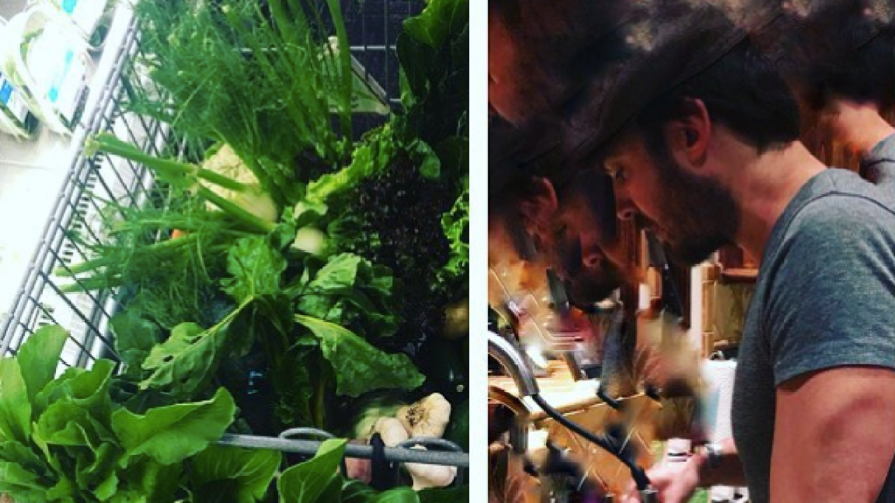 Ian Somerhalder Gets “Fired Up” After Customers Mock His Veggie-Filled Trolley