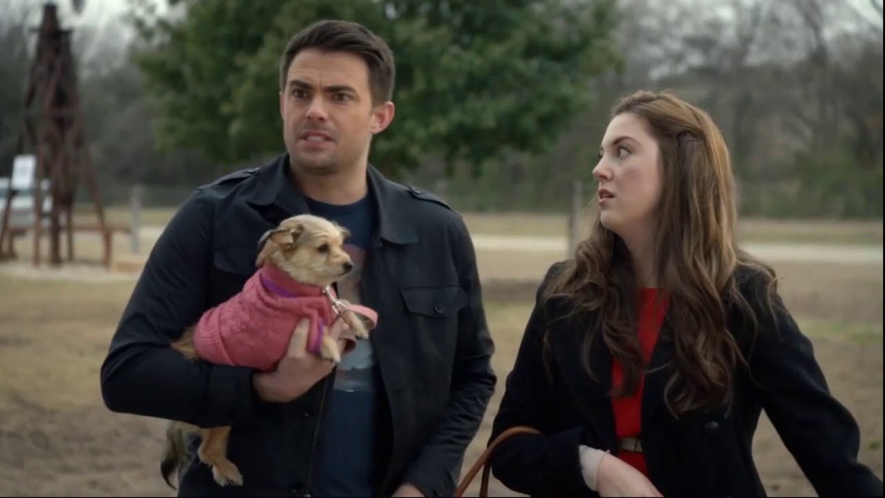 Somehow An Xmas Flick Ft. Dogs & The Hot Dude From ‘Mean Girls’ Made Me Furious