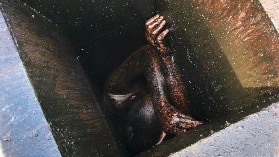 burglar trapped in grease vent for two days